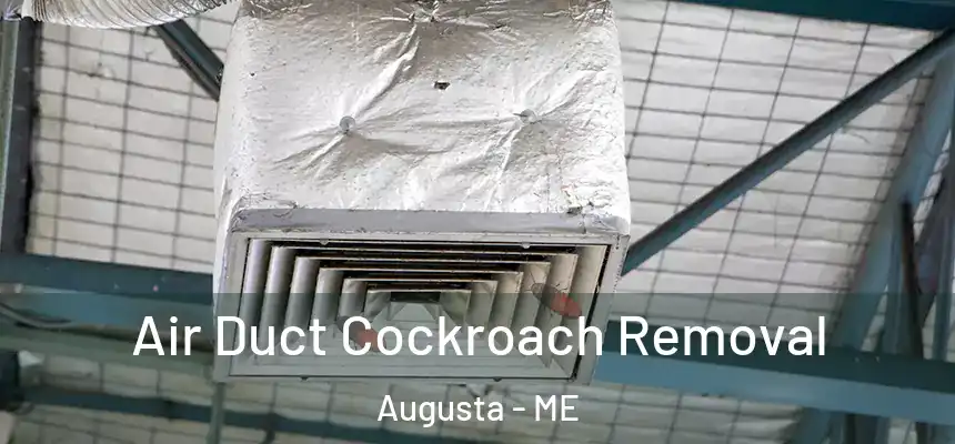  Air Duct Cockroach Removal Augusta - ME