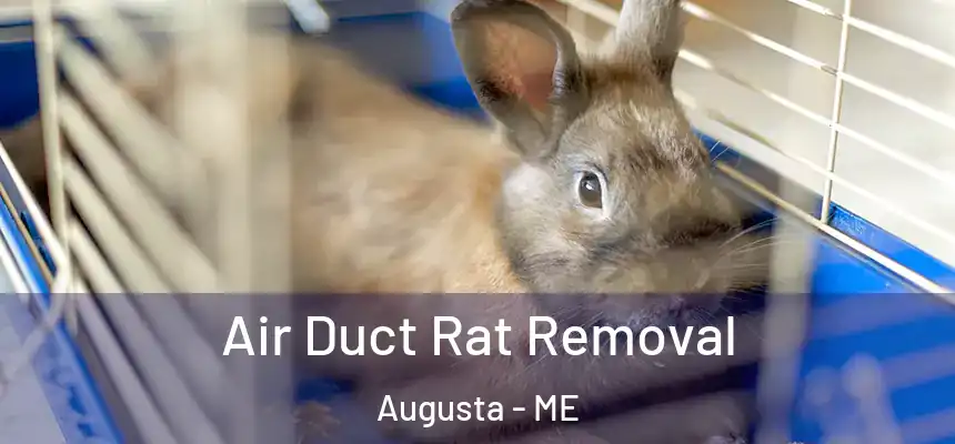  Air Duct Rat Removal Augusta - ME