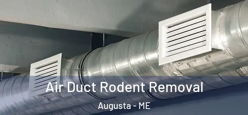  Air Duct Rodent Removal Augusta - ME