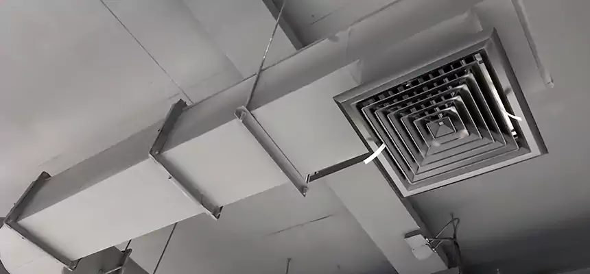 Our Pest Removal From Ducts Services in Augusta, ME