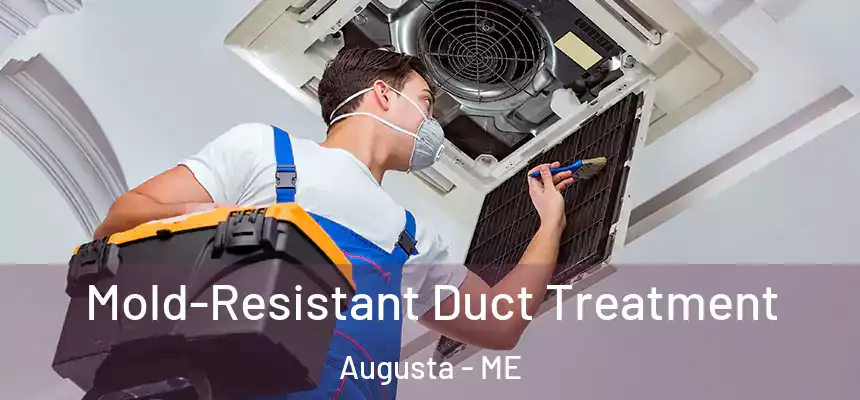  Mold-Resistant Duct Treatment Augusta - ME
