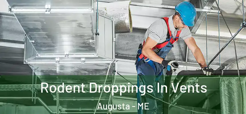  Rodent Droppings In Vents Augusta - ME