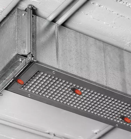 About Air Duct Cockroach Removal in Augusta, ME