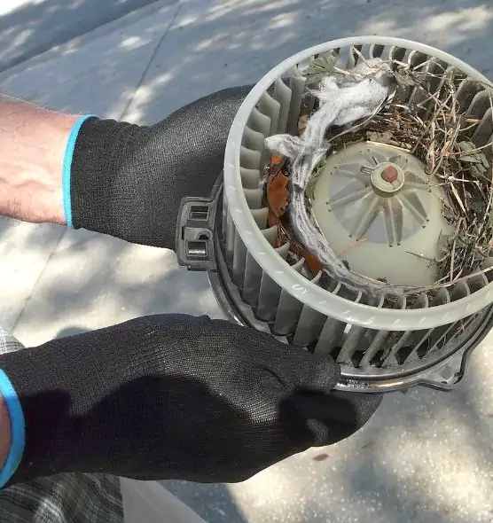 About Air Duct Mice Removal in Augusta, ME