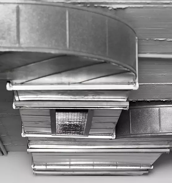 Professional Air Duct Pest Removal in Augusta, ME